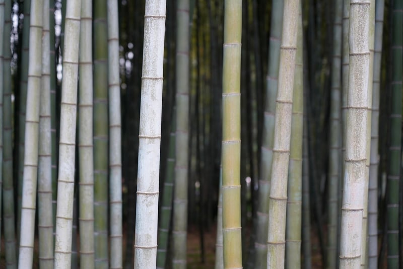 Sustainable Decor Accents