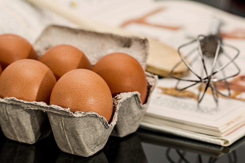 Egg Carton Animals